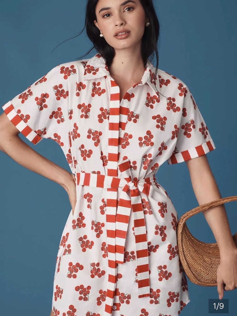Rachel Antonoff Anthropologie Jenny Tomato Shirtdress Red White Stripe 3X New